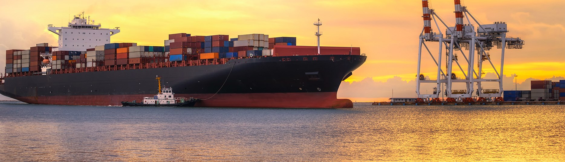 International Logistics Market