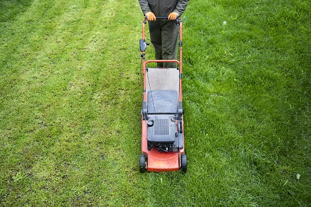 landscaping surrey'