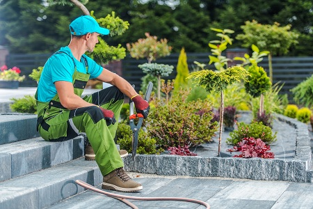 landscaping surrey'