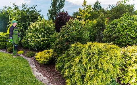 landscaping surrey'