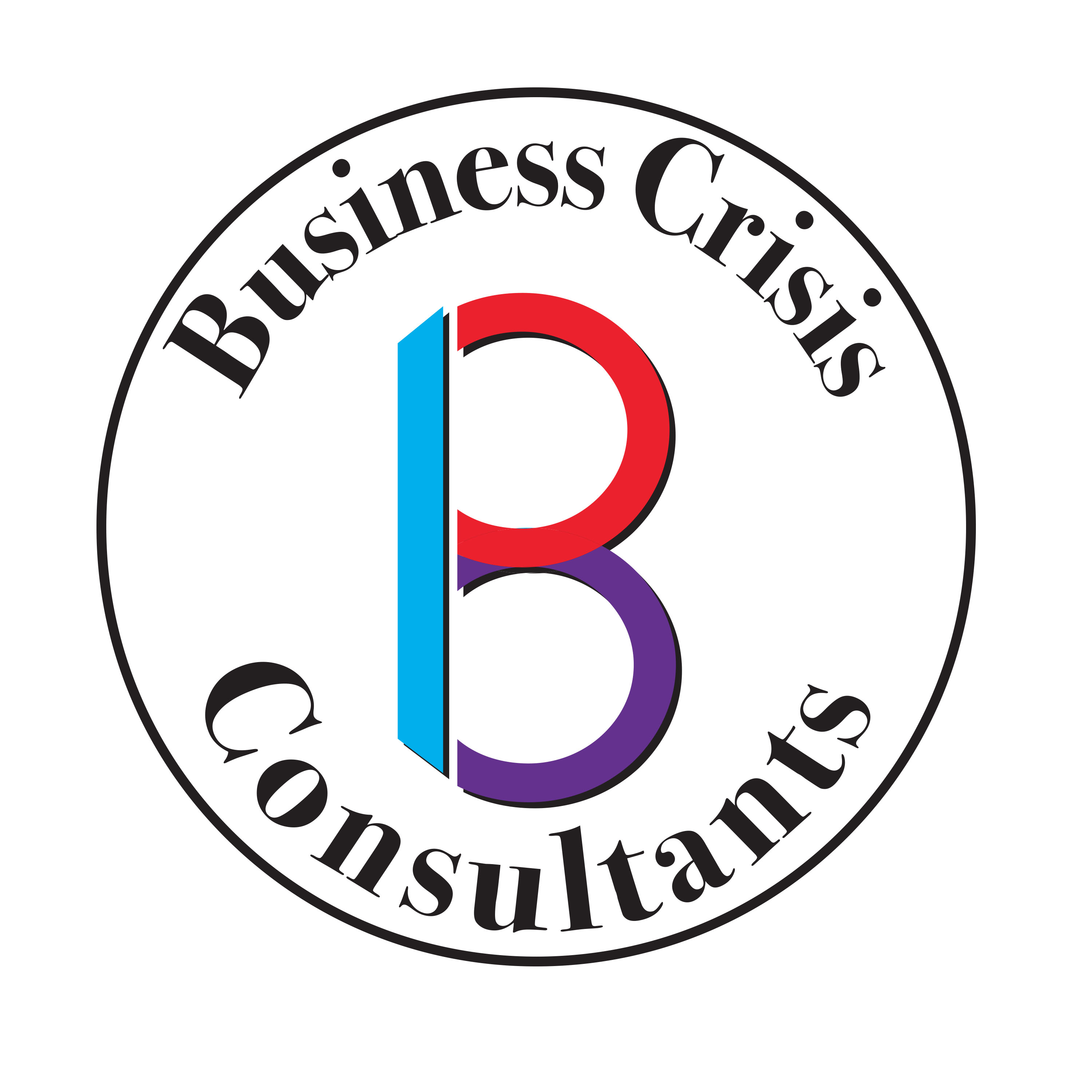 Company Logo For BUSINESS CRISIS CONSULTANTS LIMITED'