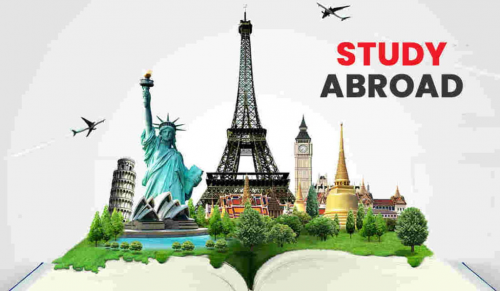 Study Abroad Agency Market'