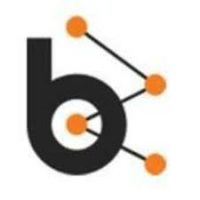 BlueBash LLC Logo