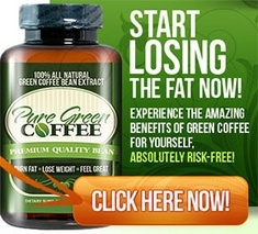 Fat Burner'