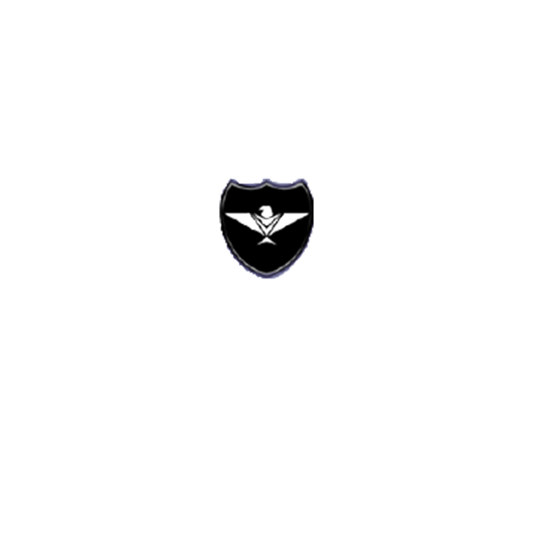 The Eagle Security Logo