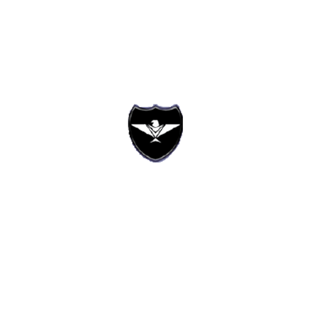 The Eagle Security
