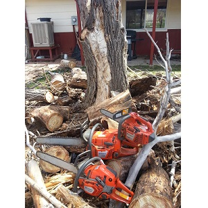 Mountview Tree Experts Logo