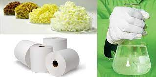 Enzyme for Pulp and Paper Market