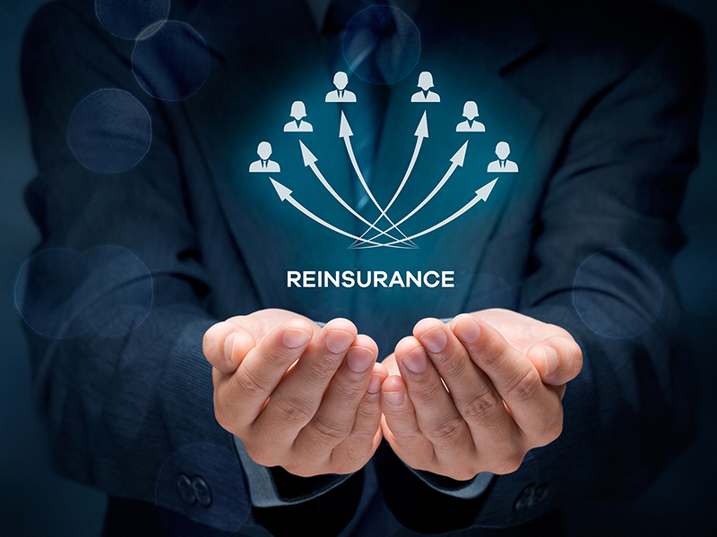 Reinsurance Services Market