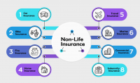 Life and Non-Life Insurance