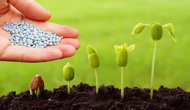 Agricultural Biopesticides Market