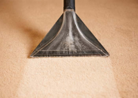 professional carpet cleaning in Manchester