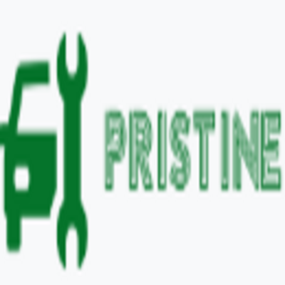 Company Logo For Pristinego'