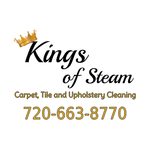 Company Logo For Kings Of Steam'