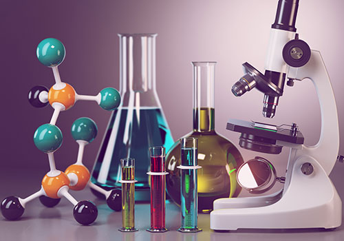 Specialty Chemical Service Market'