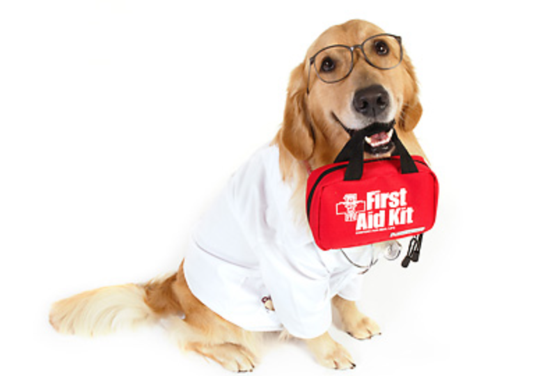 Dog Healthcare Market