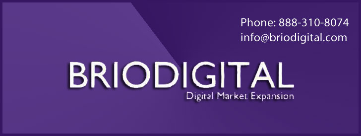 Company Logo For BrioDigital'
