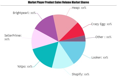 E-commerce Analytics Software Market