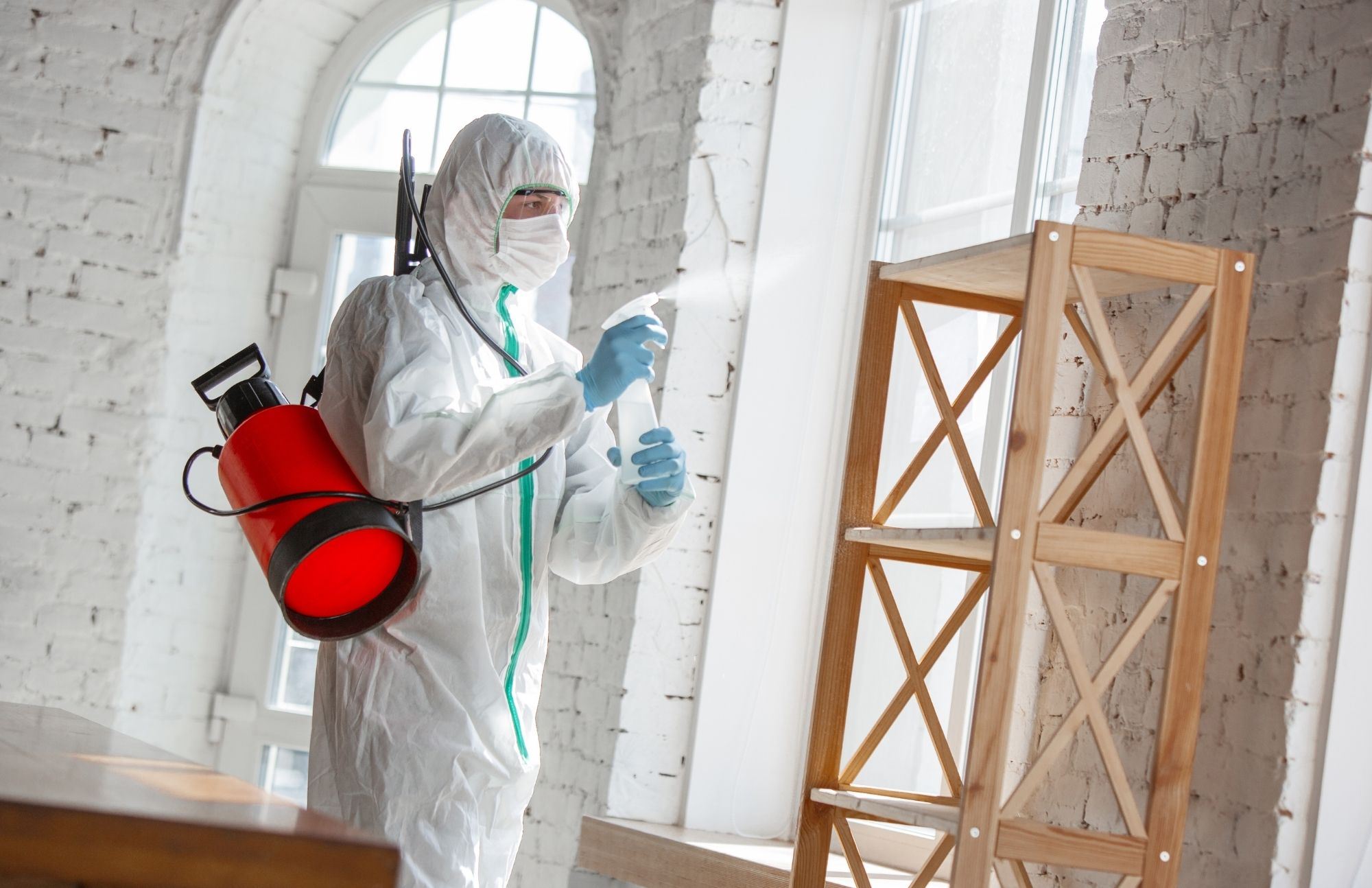 Company Logo For Roundabout Capital Mold Removal Experts'