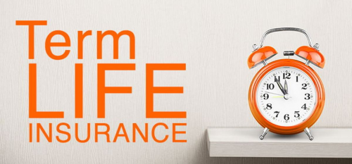 Term Life Insurance Market'