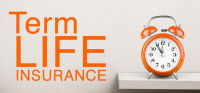 Term Life Insurance Market