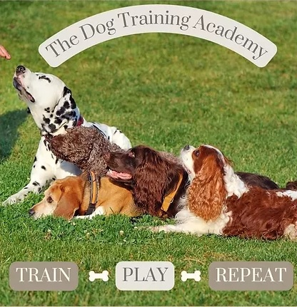 Company Logo For The Dog Training Academy'