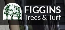 Company Logo For Figgins Trees &amp; Turf, Inc.'