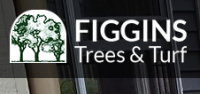 Figgins Trees & Turf, Inc. Logo