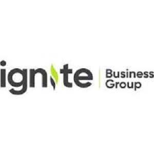 Company Logo For Ignite Business Group'