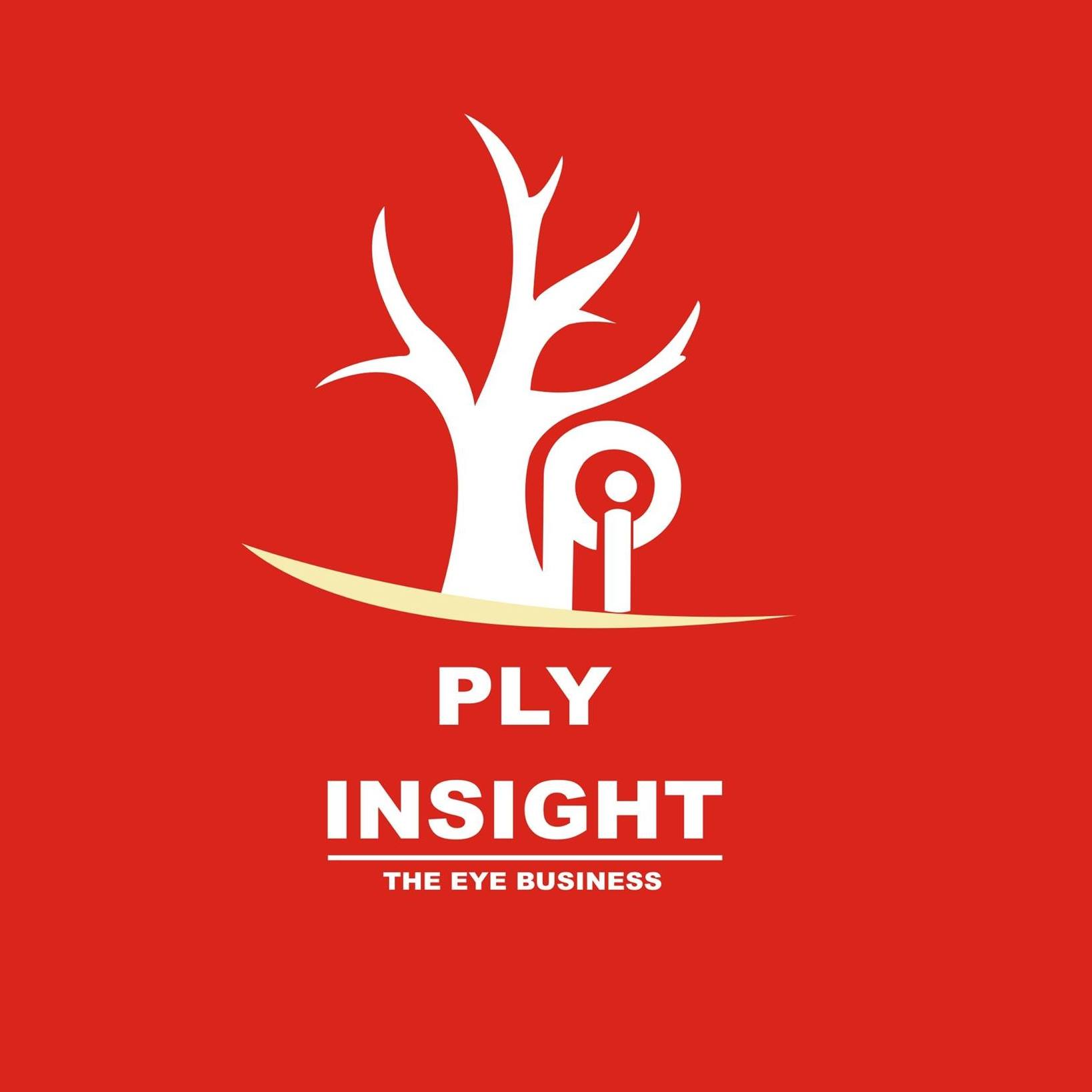 Company Logo For Ply Insight'