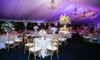 Party and Event Rental Market