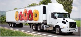 Cold Chain Logistics Refrigeration Systems Market'