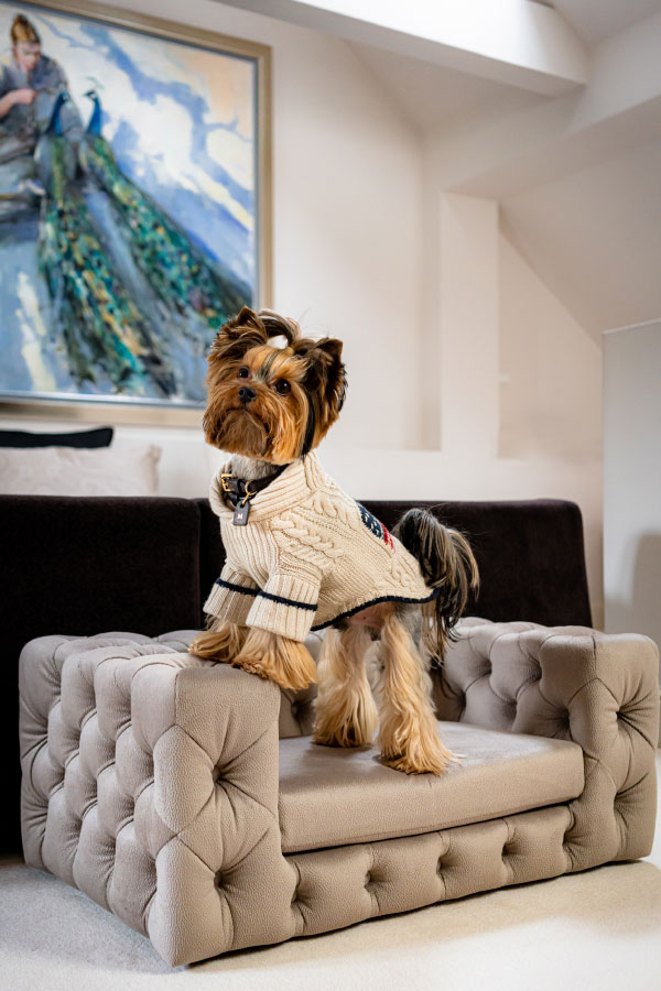 Pet Furniture Market'