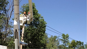 Company Logo For Titletown Tree Service'