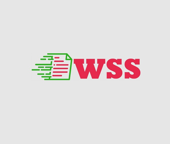Company Logo For WSS Cloud Solution, LLC'
