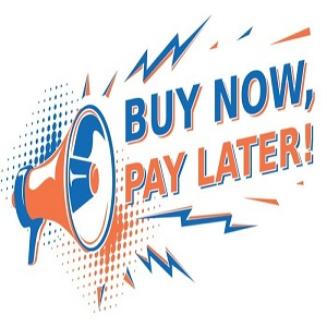 Buy Now Pay Later Market'
