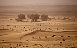 Morocco Desert Tours'