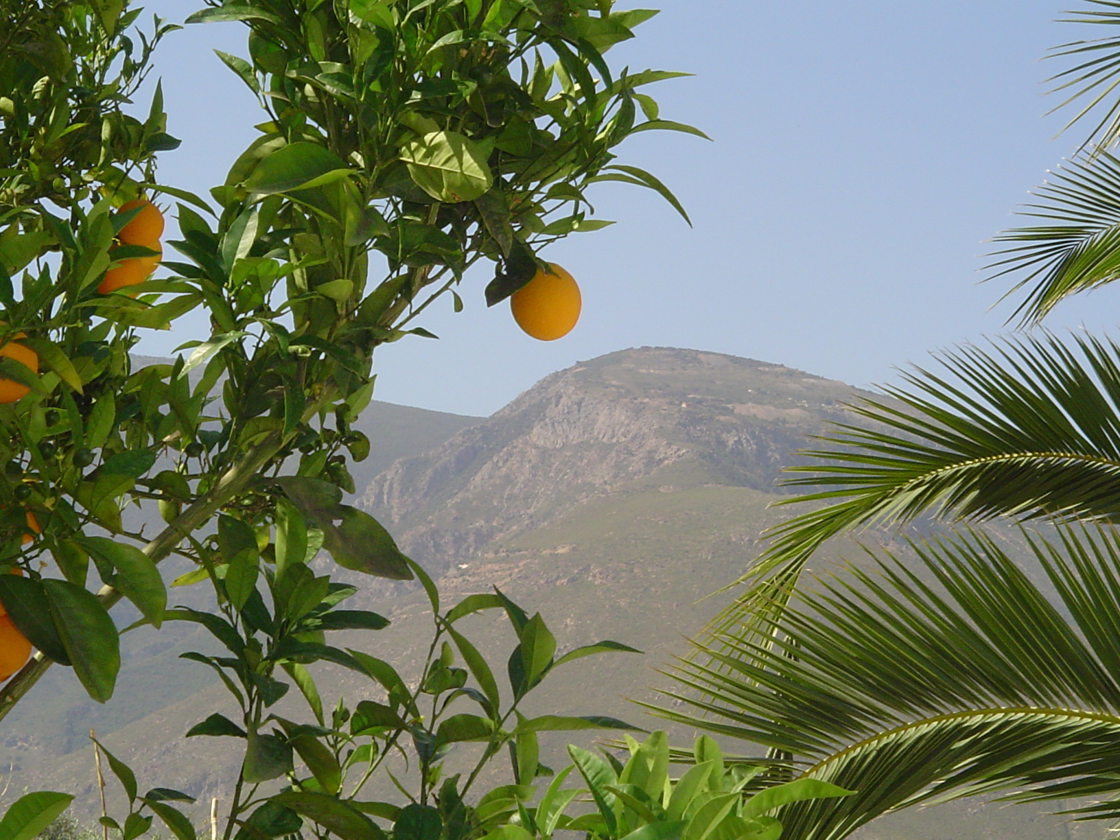 Alternative Christmas