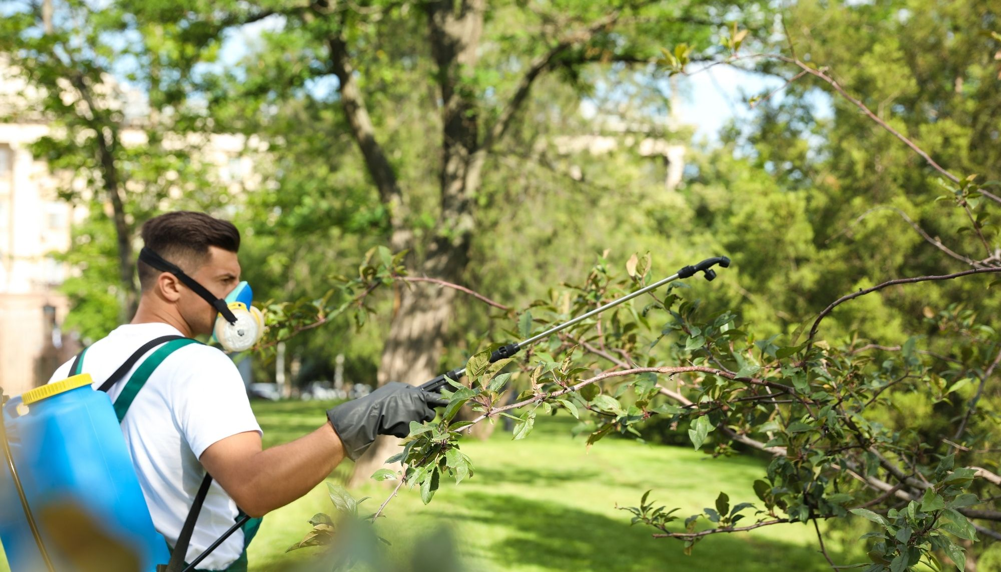 Company Logo For Mobtown Tree Removal Service'