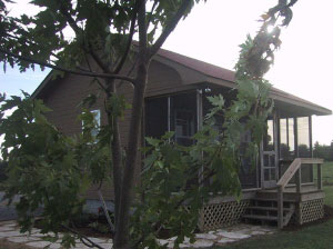 Birds View of Cabin'