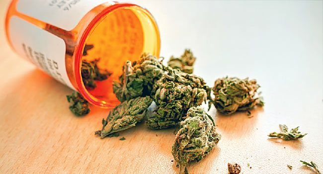 Medicinal Cannabis Market'