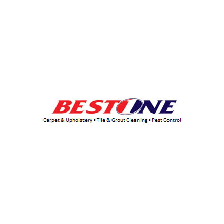 Company Logo For Best 1 Cleaning and Pest Control'