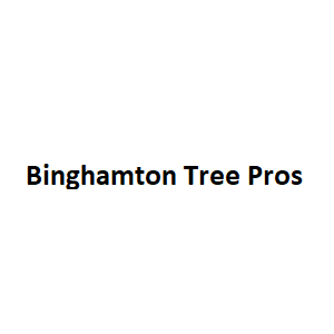Company Logo For Binghamton Tree Pros'