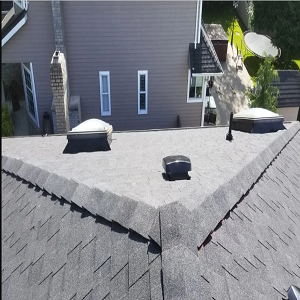 Company Logo For Next Level Roofing & Solar'