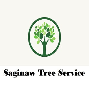 Company Logo For Saginaw Tree Service'