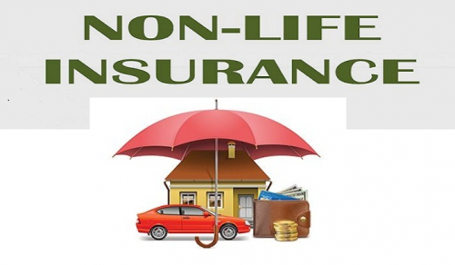 Non-Life Insurance Market'