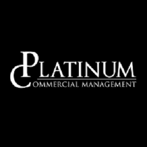Company Logo For Platinum Cleaning'