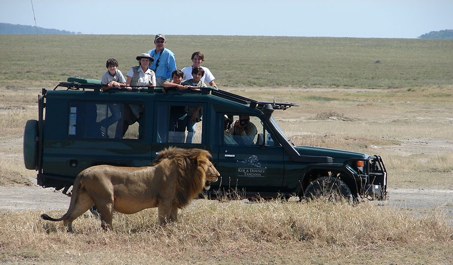 Adventure and Safari Market