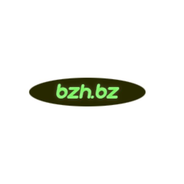 Company Logo For BZH BZ'