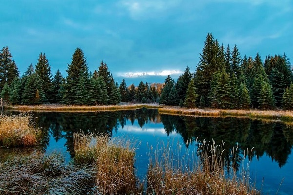 Irrigation Ponds'